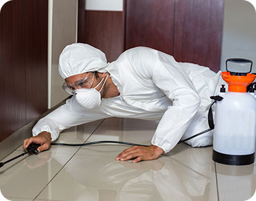 Pest Control Service in Delhi NCR