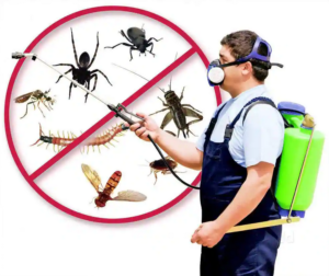 Pest Control Service in Faridabad